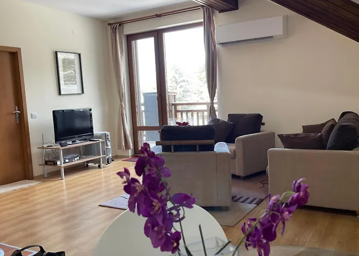 Cozy Mountain Borowec