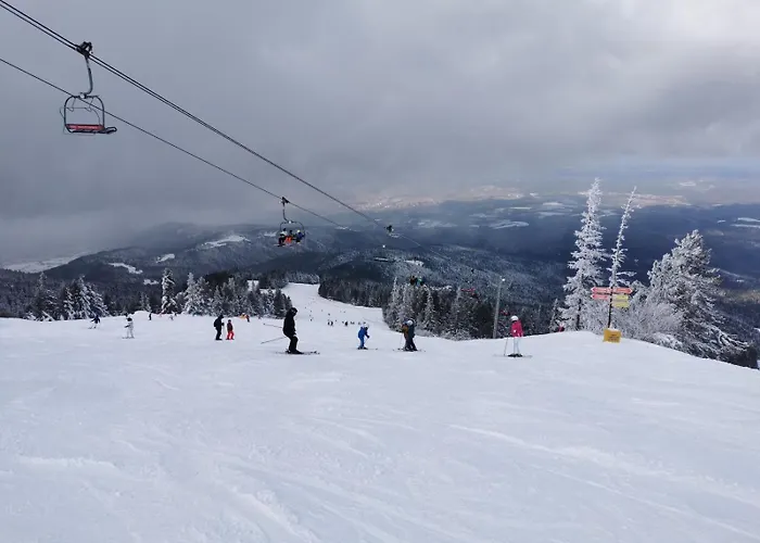 Cozy Mountain Borowec