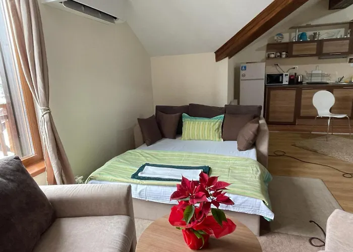 Hotel apartamentowy Cozy Mountain