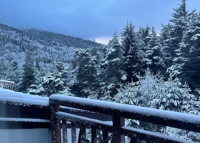 Cozy Mountain Hotel apartamentowy